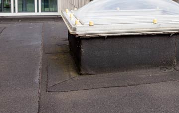 disadvantages of Dyers Common flat roofs