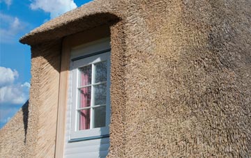 Dyers Common thatch roof disadvantages